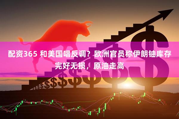 配资365 和美国唱反调？欧洲官员称伊朗铀库存完好无损，原油走高