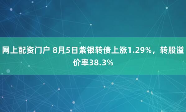网上配资门户 8月5日紫银转债上涨1.29%，转股溢价率38.3%