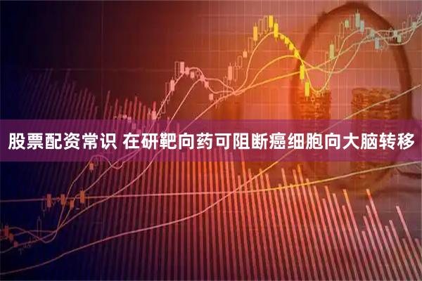 股票配资常识 在研靶向药可阻断癌细胞向大脑转移